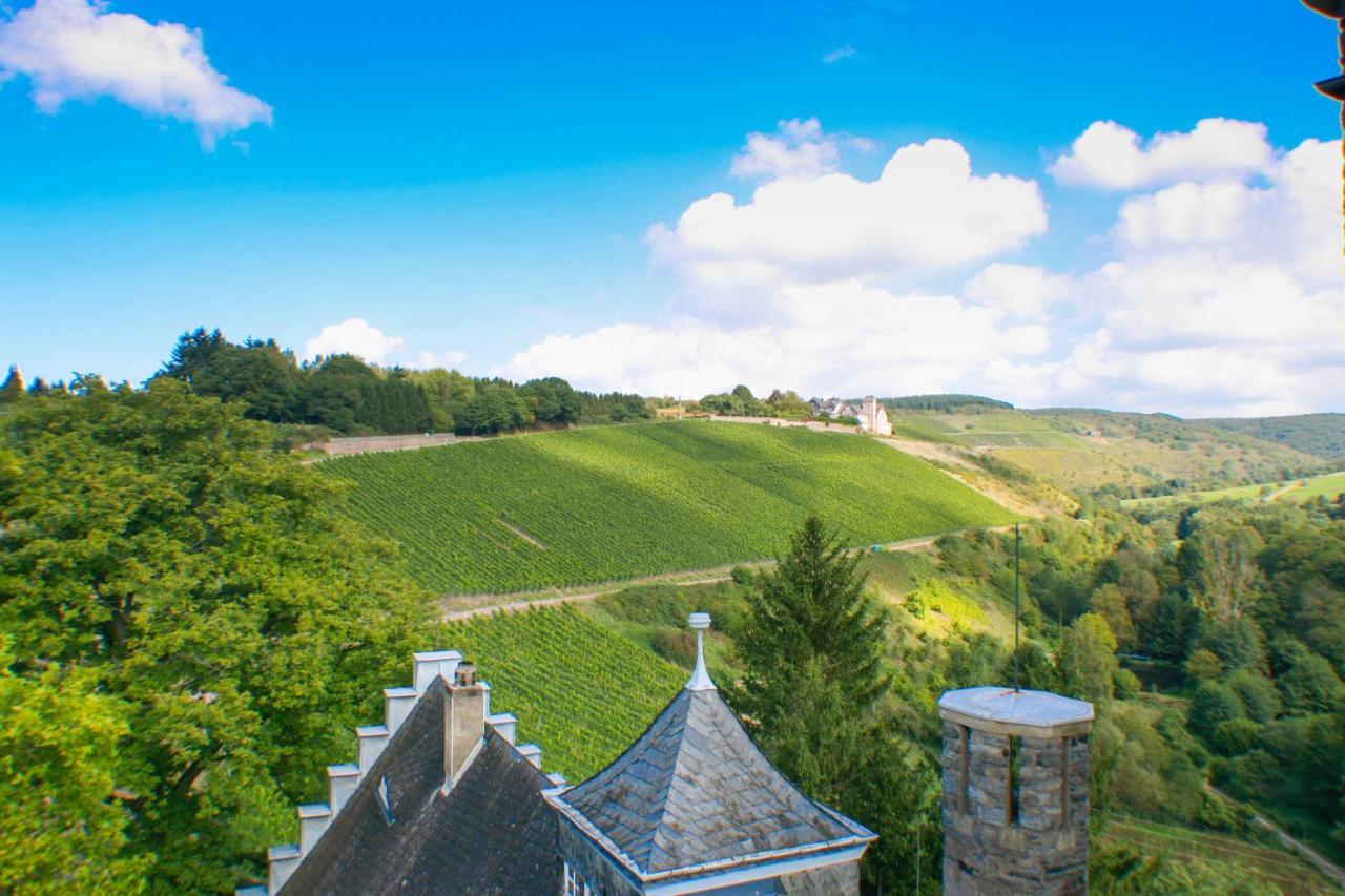 Saar Castle - Cozy Mansion Near Vineyard Serrig Exterior foto